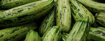 First, make sure there is not a wax coating on the skin of the cucumber because this would not be healthy for your guinea pig to eat. Can Guinea Pigs Eat Zucchini Guinea Piggles