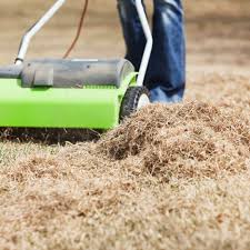 Use a spade or knife to remove a small section of lawn in a few places around the yard. Spring Dethatching Tips