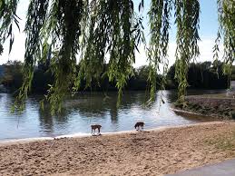 For the migrating fish, the first bypass creek of the main river was built as. Concept Mainfranken Werbemittel Promotion Event Werbetextilien Main Bike E Bike Und Tretmobilverleih Main Bikes Jimdo Page