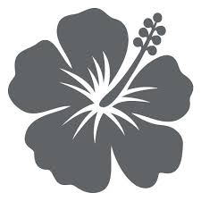 Http Fleur Hibiscus Fr Fleurs Individuelles 20 Autocollant Sticker Fleur D Hibiscus Gris Html Fleur Hibiscus Fleur Flower Svg Flower Stencil Paper Flowers