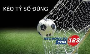 Lịch âm 2021 ngày âm lich hôm nay. Dá»± Ä'oan Tá»· Sá»' Chinh Xac Bong Ä'a Brazil Hom Nay 13 9 Fluminense V Corinthians