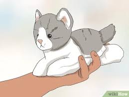 Pictures of cats to color. How To Make A Warrior Cat Clan Indoors 13 Steps With Pictures