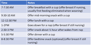 Feeding Schedule For Toddler Nutrition Guide Megan