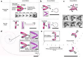 We did not find results for: Photopatterned Microswimmers With Programmable Motion Without External Stimuli Nature Communications
