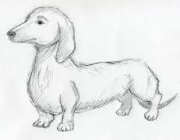 Dachshund , dog drawing, cute dog, dachshund cartoon, dachshund illustration, dog print ivanglockart. Daschund Sketch By Speechless Peace On Deviantart Dog Pencil Drawing Dachshund Art Dog Drawing