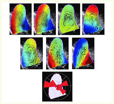 Maybe you would like to learn more about one of these? Representative Sequence Of Frames Obtained With The Intraventricular Download Scientific Diagram