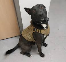 SilencerCo Retooling for Success