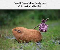 Pin On Geek Out With Friends