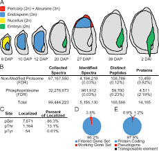 A detailed atlas of gene expression across the adult and juvenile mouse spinal cord. Reconstruction Of Protein Networks From An Atlas Of Maize Seed Proteotypes Pnas