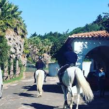 Welcome to the quinta da fonte santa google satellite map! Centro Hipico Quinta Da Fonte Santa Home Facebook