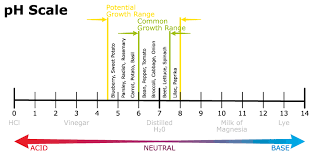 Understanding Ph In The Vegetable Garden B L Botanica