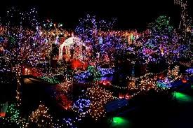 Vandusen Botanical Gardens Vancouver Canada Christmas Light Tour Best Christmas Lights Festival Lights