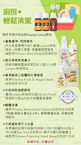 廚房 輕鬆清潔 foaming hand soap household cleaner essential oils