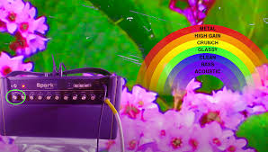 Lets keep this sub fresh. She Shreds Media