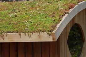 Check spelling or type a new query. Shed Roof Designs And Ideas For Your Next Shed