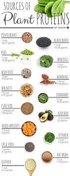 Protein Can Be Found In Both Animal And Plant Based Sources Check Out The Best Plant Based Sources Of Protein And F Healthy Recipes Healthy Eating Health Food