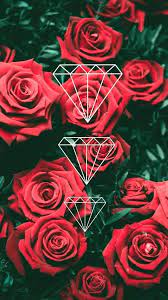 Weitere ideen zu rote rosen, rosen, schöne blumen. Papel De Parede Rosas De Papel Parede Rosas Papel De Parede Rosa Rosas Vermelhas Rosas Papel De Parede