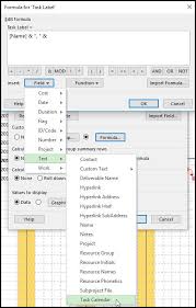 task bar labels using multiple fields in microsoft project