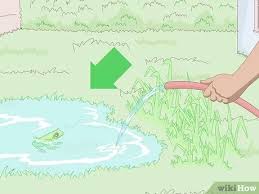 Keep water temperatures cool by shading it with trees and shrubs. 4 Ways To Attract Frogs Wikihow