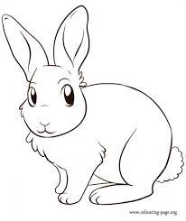 Find this pin and more on images by crepin valerie. Coloriage Lapin Mignon En Couleur Dessin Gratuit A Imprimer