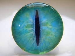 Glass Eyes Blue Eyes Blue Green Eyes Blue Snake Eyes Snake Etsy Lizard Eye Blue Green Eyes Taxidermy Eyes
