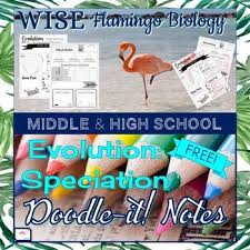 These Free Doodle It Summary Pages Are The Perfect Way To Scaffold Notes Or Review The Concepts Of Speciation Such As Free Doodles Doodles Emergency Sub Plans