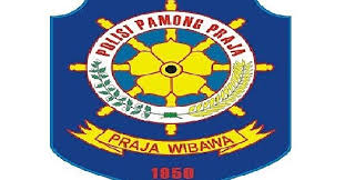 Sebenarnya ketugasan ini telah dilaksanakan pemerintah sejak zaman kolonial. Lowongan Kerja Satpol Pamong Praja Minimal Sma Sederajat Bulan Januari 2020 Rekrutmen Lowongan Kerja Bulan Juli 2021