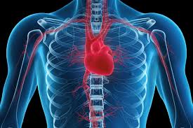 Acute or chronic inflammation of the heart muscle may be asymptomatic. Right Sided Heart Failure Overview And More