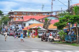 It's the galapagos of the caribbean because it's one of the most biodiverse regions in the world; Reisebericht Bocas Del Toro Das Mangrovenparadies Isla Popa