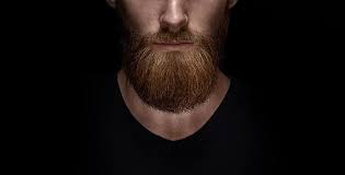 How To Use Apply Beard Balm The Right Way In 6 Easy Steps Beard Balm Beard Wax Beard Oil And Balm