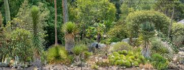 Closed 1st tuesday of the month: Uc Botanical Garden At Berkeley New World Desert August 2020