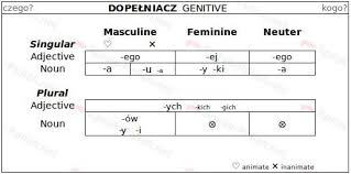 Polish Genitive Case Endings Learn Polish Polish Language