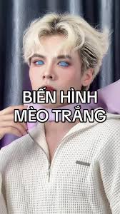 Trả lời @Công chúa giáng trầnk khi mèo Tom có bạn trai =))) #dailywithzii  #tomandjerry #trending