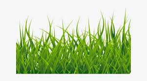 Check spelling or type a new query. Ground Clipart Grass Patch Grass Wallpaper White Background Png Image Transparent Png Free Download On Seekpng