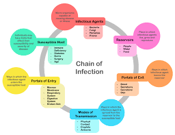 Infection Prevention And Control Physiopedia