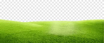 Fungsinya adalah selain memberikan kesan yang hijau dan asri, rumput ini sangat baik dalam menyerap. Halaman Rumput Hijau Hijau Padang Rumput Png Pngegg