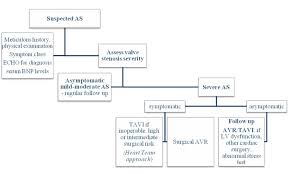 My Approach To Management Of Aortic Stenosis In The Elderly