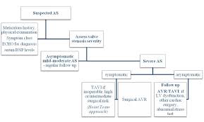 my approach to management of aortic stenosis in the elderly