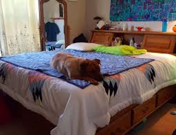 22 Amazing Mattresses You Can Buy Online That Won T Break The Bank Mattress Memory Foam Mattress Reviews Mattresses Reviews