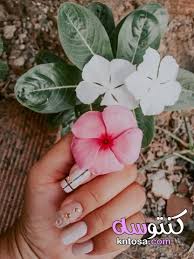 Øµù ø± ù ø±ø¯ ù ø¹ ø¨ù ø§øª ù ù ø¯ù ø¨ù ø±ø¯. ØµÙˆØ± Ø§ÙŠØ¯ Ø¨Ù†Øª Ø±Ù…Ø²ÙŠØ§Øª ÙØªØ§Ù‡ Ù…Ø§Ø³ÙƒÙ‡ ÙˆØ±Ø¯Ù‡ ØµÙˆØ± ÙŠØ¯ Ù…Ø§Ø³ÙƒØ© ÙˆØ±Ø¯Ø© ÙŠØ¯ Ù…Ø§Ø³ÙƒÙ‡ ÙˆØ±Ø¯Ù‡ Ø­Ù…Ø±Ø§Ø¡