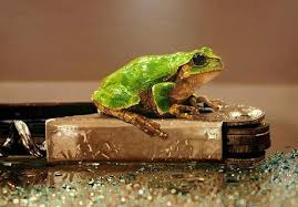 What's wrong with secretary kim (korean: Hyperrealistic Oil Paintings By Young Sung Kim Paperblog