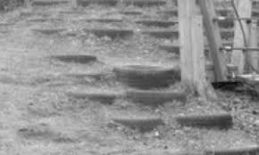 He was an actor and director, known for jumalat. O W Fischer Und Die Einsamkeit Im Tessin