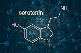 Image result for Serotonin
