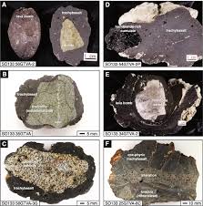 Jun 26, 2021 · nantes. The Submarine Tectono Magmatic Framework Of Cu Au Endowment In The Tabar To Feni Island Chain Png Sciencedirect