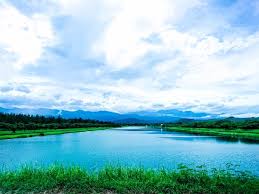 The site owner hides the web page description. å°æ±æ£®æž—å…¬åœ'æ´»æ°´æ¹–ç¾Žå¥½çš„å¤æ—¥æ™¯è‰² Taitung Cityå°ä¸œæ£®æž—å…¬å›­çš„å›¾ç‰‡ Tripadvisor