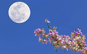 Find out when the next full moon is and click to view more details. Full Moon Names And More For 2021 Space