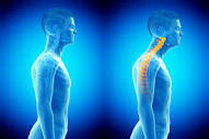 8 Tips for Proper Alignment and Perfect Posture | Hilton Head Health