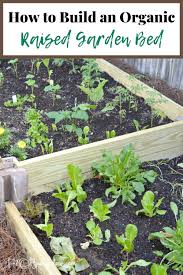 Even 6 to 8 inches can be enough. How To Build A Raised Vegetable Garden Bed H2obungalow