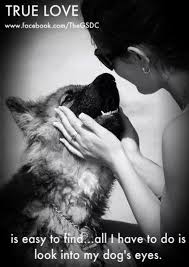 When I Look Into The Eyes Of An Animal Quote True Love Is Easy To Find All I Have To Do Is Look Into My Dog S Eyes Dogs Dog Love I Love Dogs