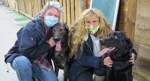 Our convenient location in eagan, mn specializes in dog daycare, dog boarding, grooming, and obedience training. Pandemic Has Forced This Pet Resort To Consolidate And Pivot Businesswest